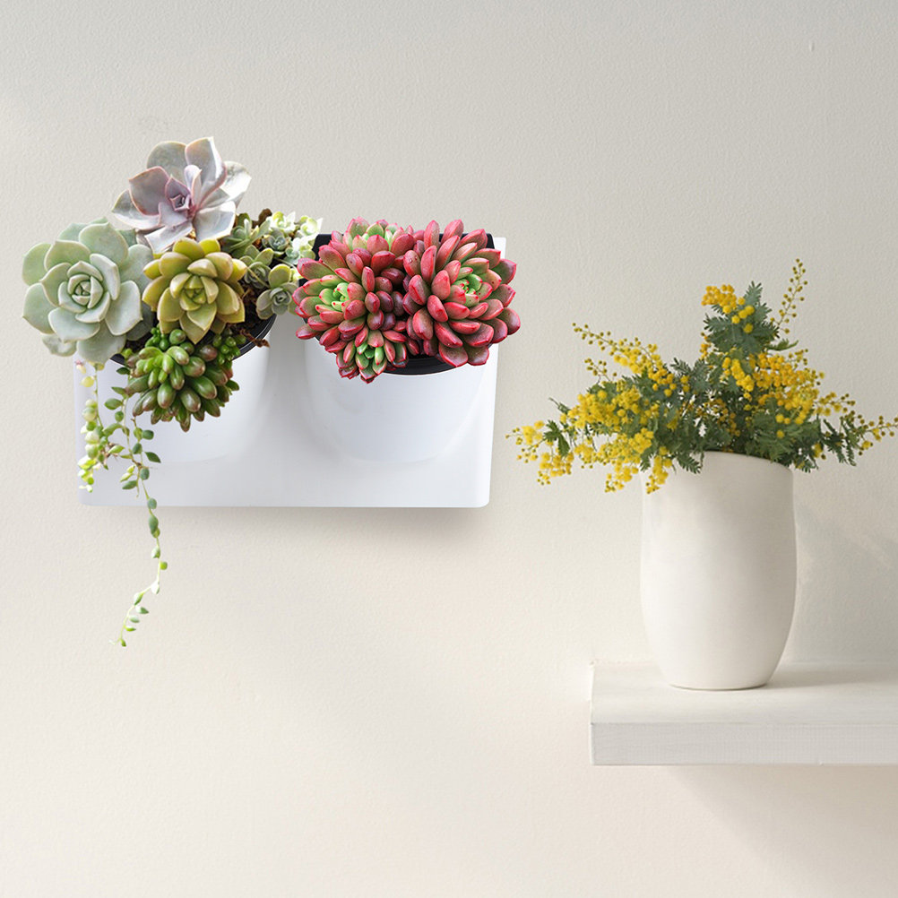 Self-Watering Planter - وعاء زهور بلاستيكي ذاتي الري، وعاء