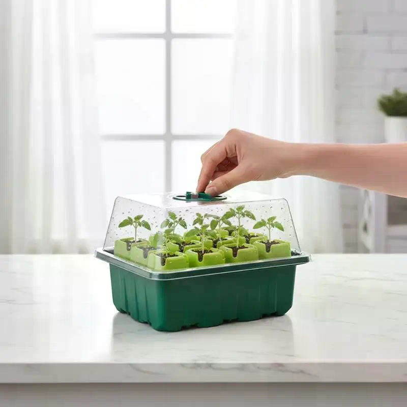 Propagation Tray Dome - طقم واحد من صينية بادئات البذور