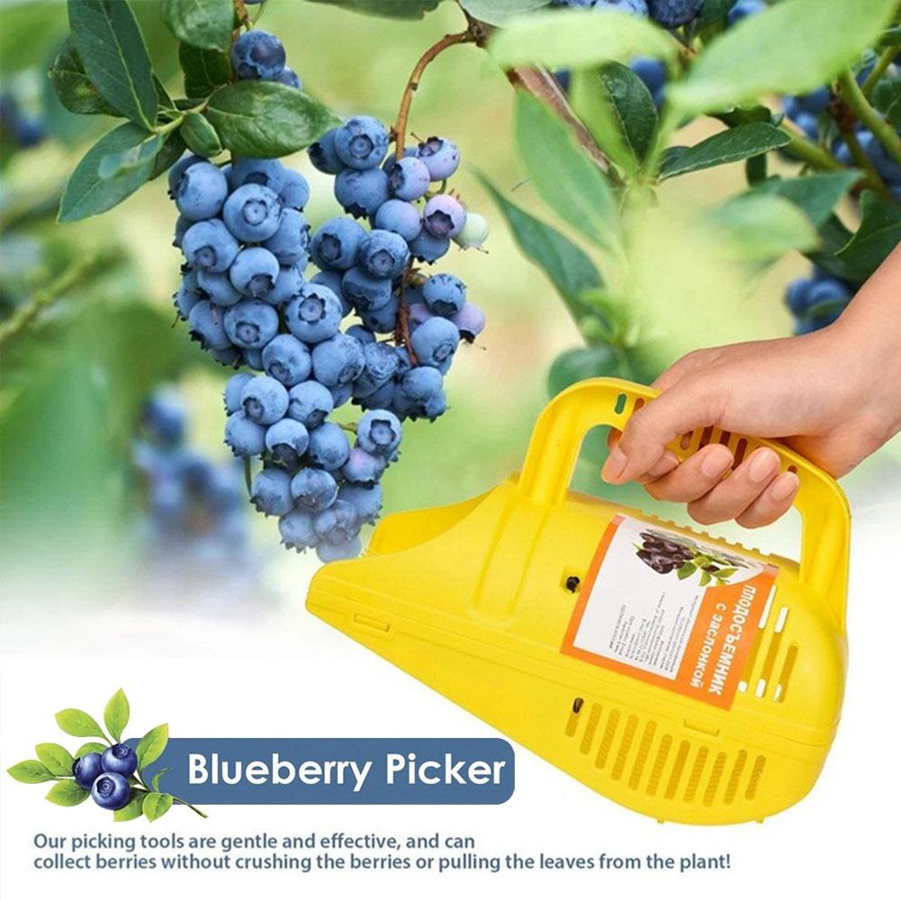 Gardening Tools Must Haves - أداة قطف التوت الأزرق سهلة الاستخدام