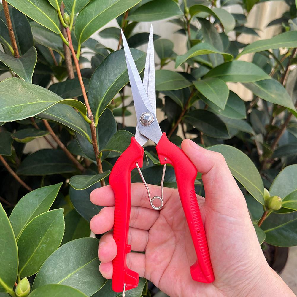Gardening Tools Combo - مقص تقليم احترافي للحدائق، مقص أشجار