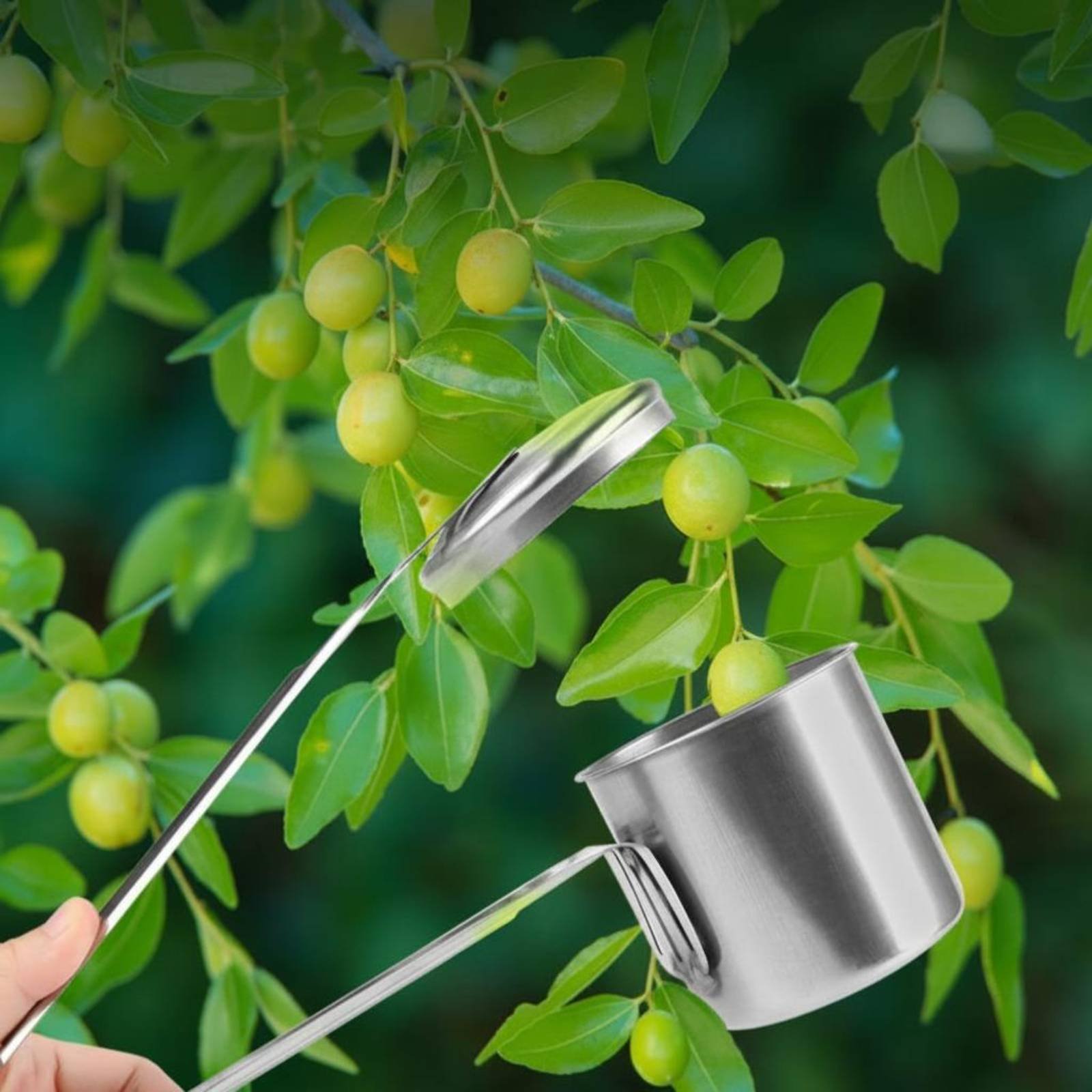 Gardening Tools And Uses - أداة التقاط الفاكهة من الفولاذ المقاوم