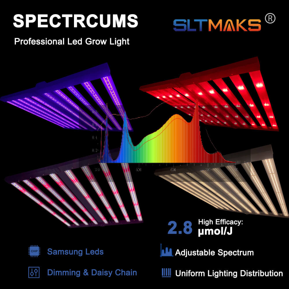 مصابيح LED للنمو النباتي بقوة  - مراجعة Led Grow Light وسعره