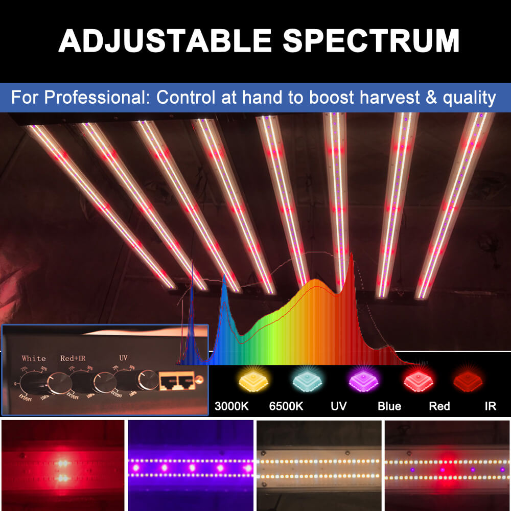 مصابيح LED للنمو النباتي بقوة  - مراجعة Led Grow Light وسعره