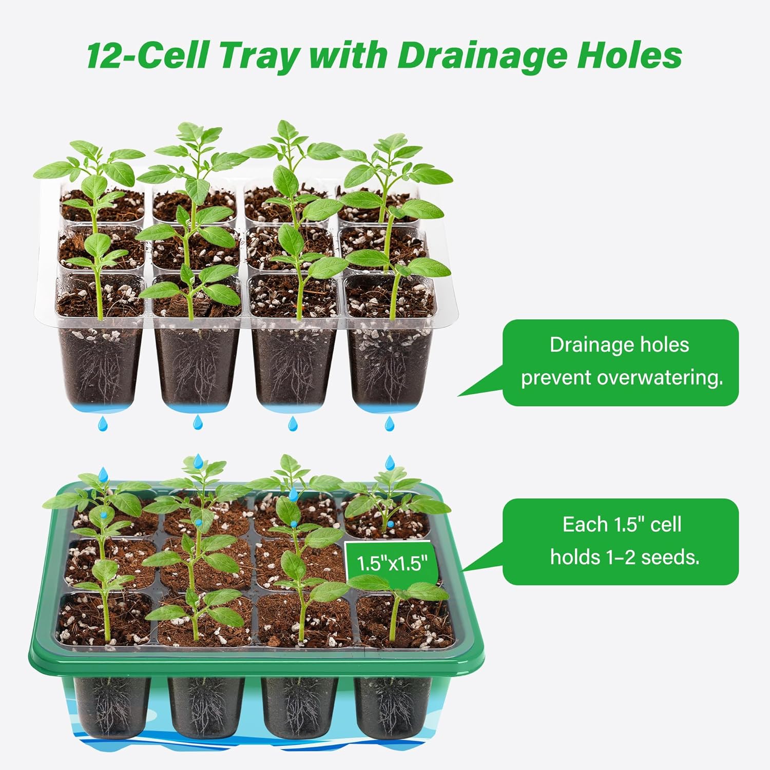 6/12 شبكات تزايد بدء صواني الح - مراجعة Propagation Tray Dome وسعره