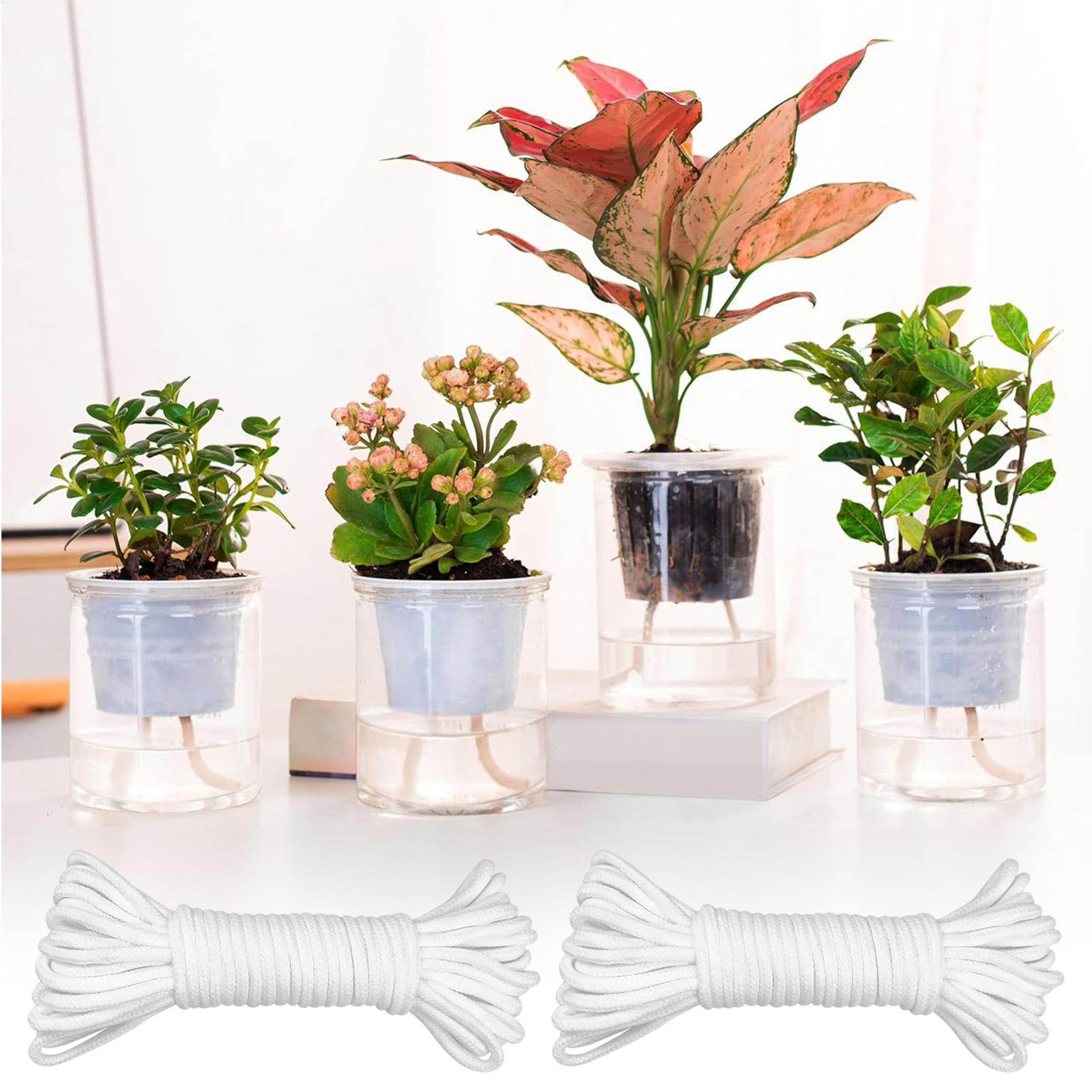 أعواد ري نباتية للري الذاتي، ن - مراجعة Self-Watering Planter وسعره