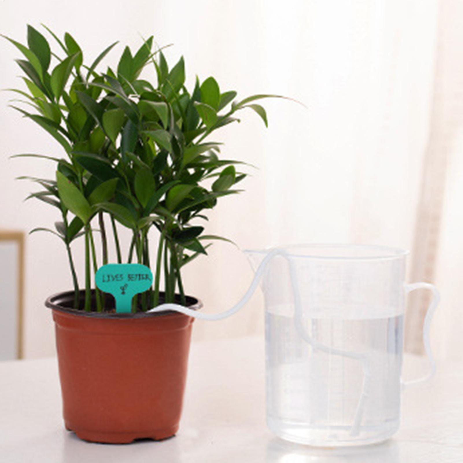 أعواد ري نباتية للري الذاتي، ن - مراجعة Self-Watering Planter وسعره
