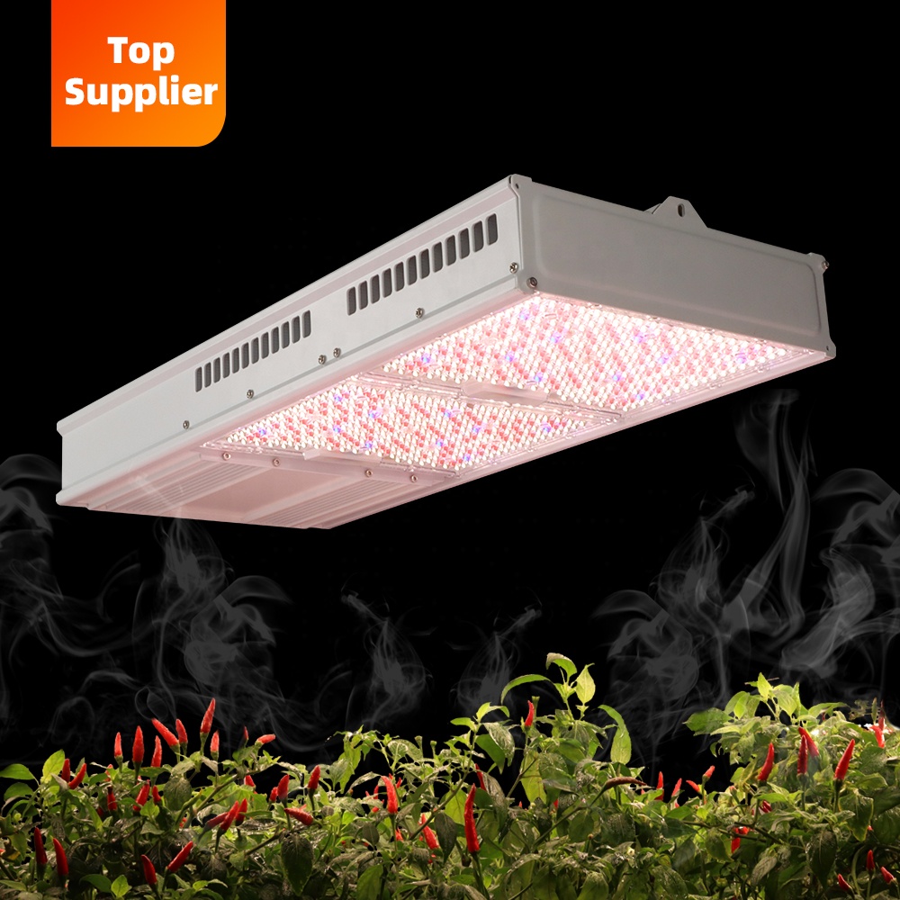 مصباح نمو نباتات LED داخلي فعا - مراجعة Led Grow Light وسعره