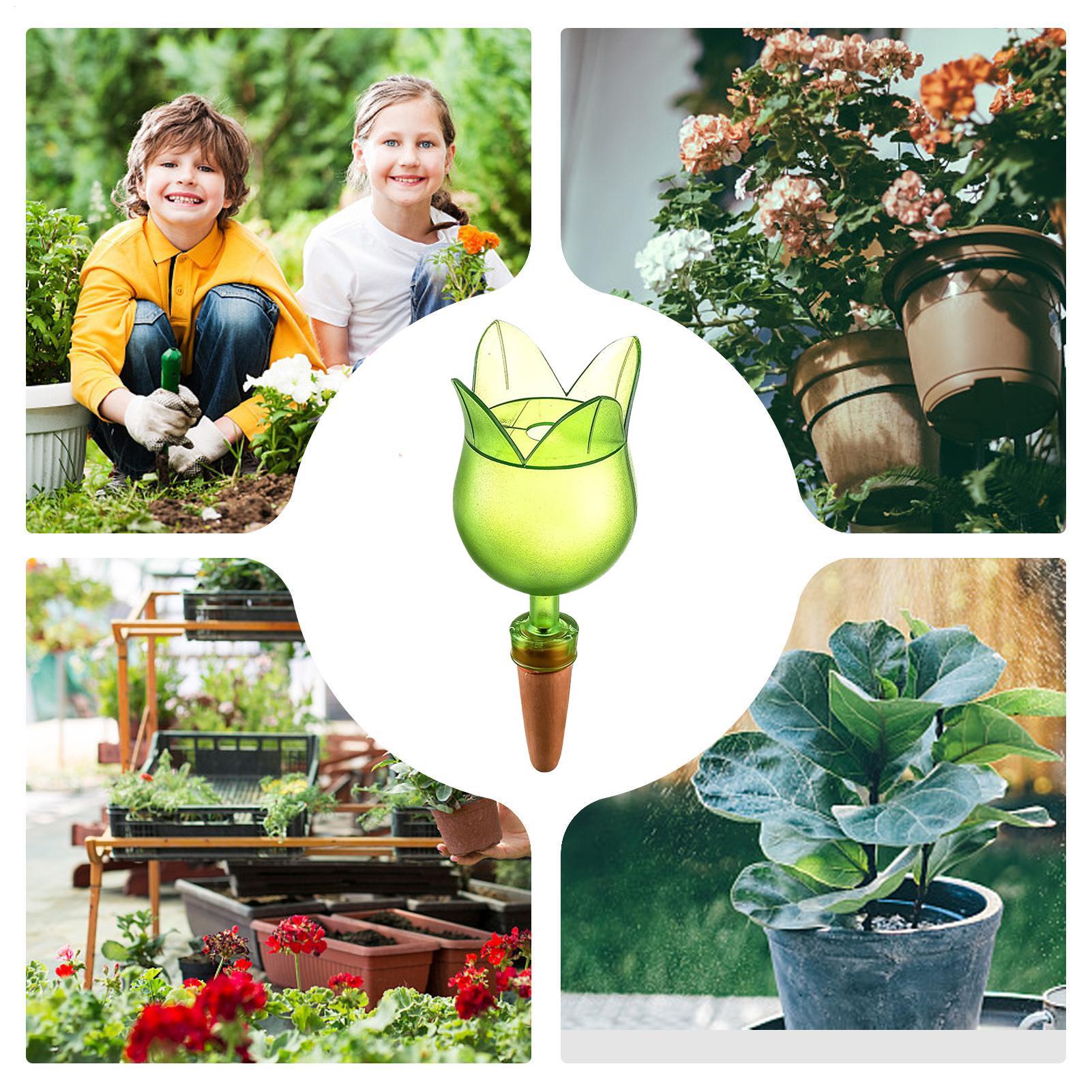 أجهزة سقي النباتات الذاتية نظا - مراجعة Self-Watering Planter وسعره