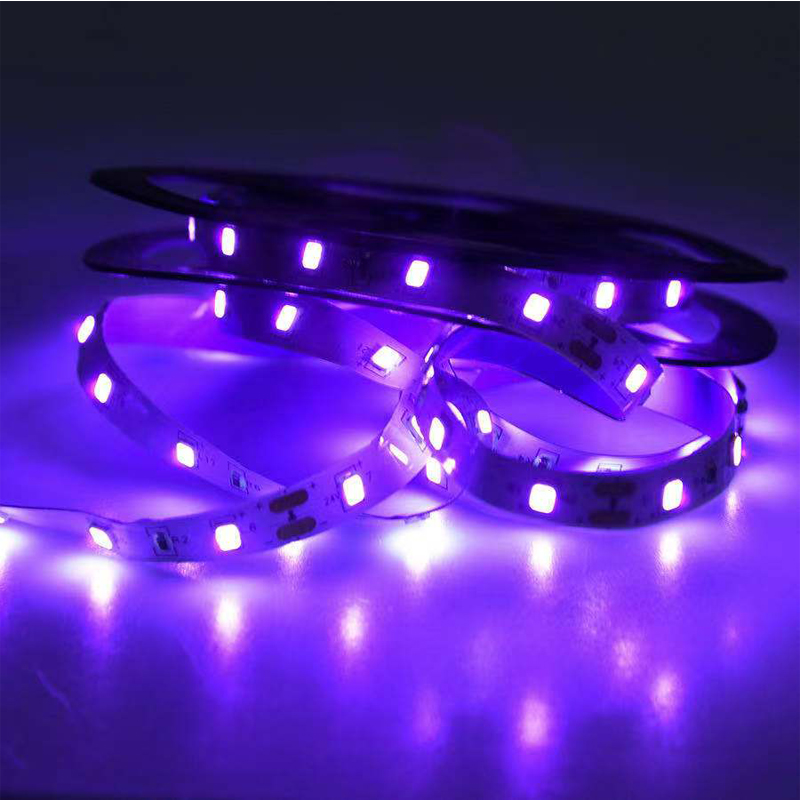 ضوء الأشعة فوق البنفسجية LED ب - مراجعة Led Grow Light وسعره