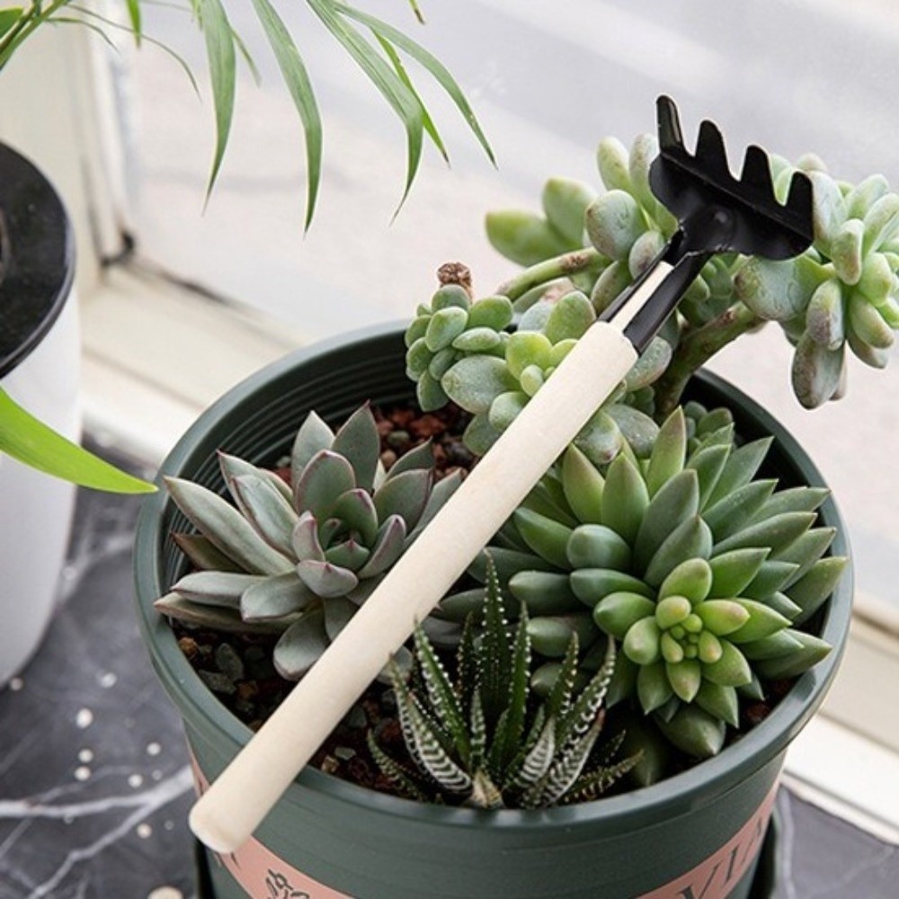 مجموعة أدوات زراعة متعددة الوظ - مراجعة Spade Digging Fork وسعره