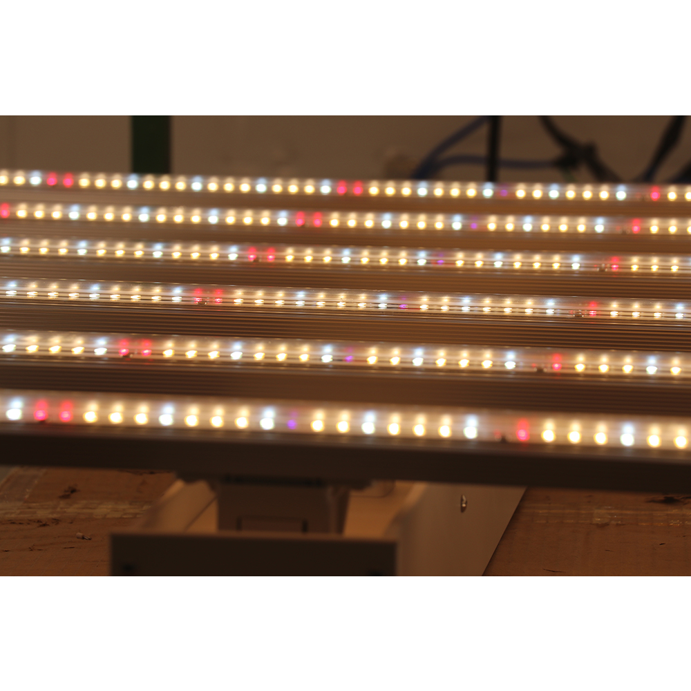 مصباح نمو النباتات بتقنية LED  - مراجعة Led Grow Light وسعره