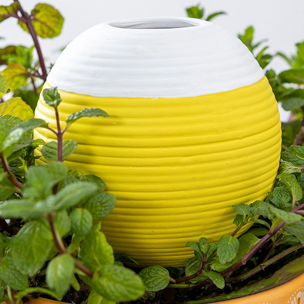 أداة سيراميك أوتوماتيكية لري ا - مراجعة Gardening Tools Must Haves وسعره