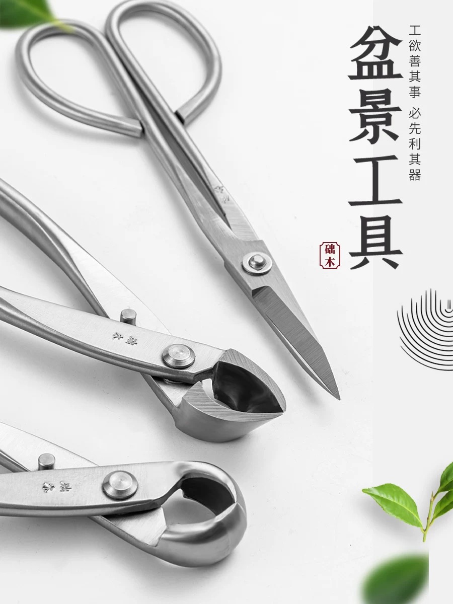 مجموعة أدوات البونساي (3 قطع)  - مراجعة Bonsai Tool Set وسعره