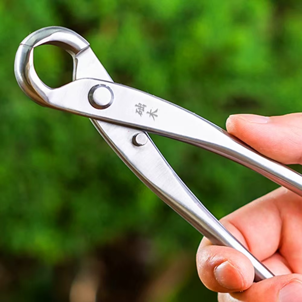 مجموعة أدوات البونساي (3 قطع)  - مراجعة Bonsai Tool Set وسعره