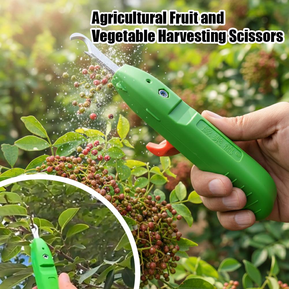 مقصات قطف الفاكهة والخضروات، م - مراجعة Gardening Tools Combo وسعره