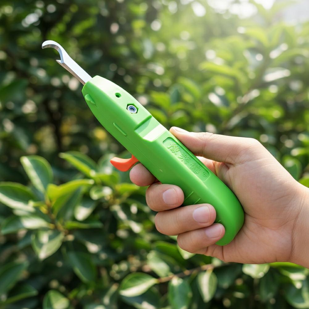 مقصات قطف الفاكهة والخضروات، م - مراجعة Gardening Tools Combo وسعره