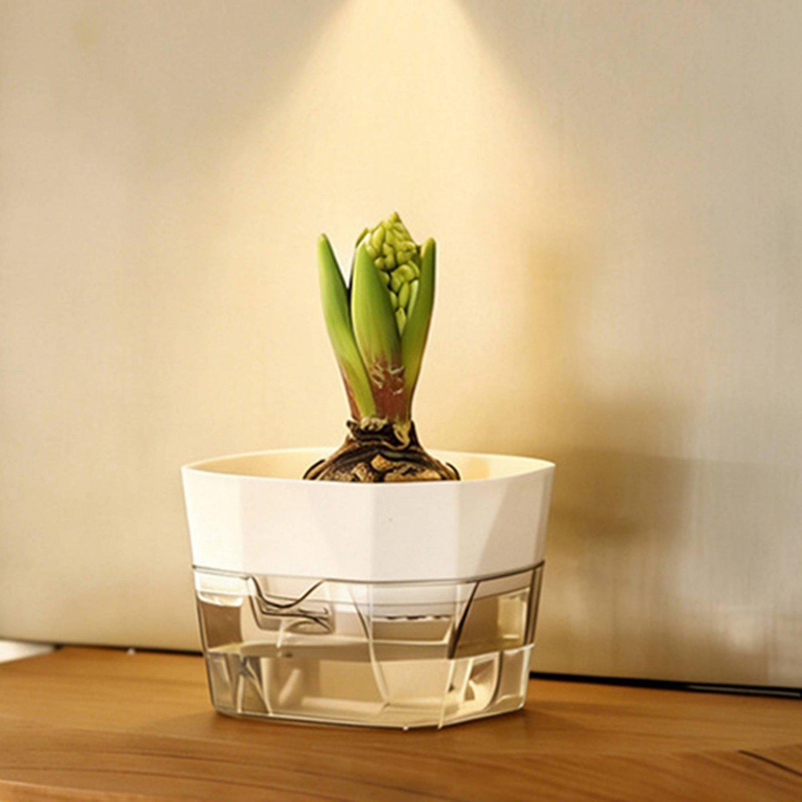 وعاء زراعة مائية ذاتي الري بطب - مراجعة Self-Watering Planter وسعره