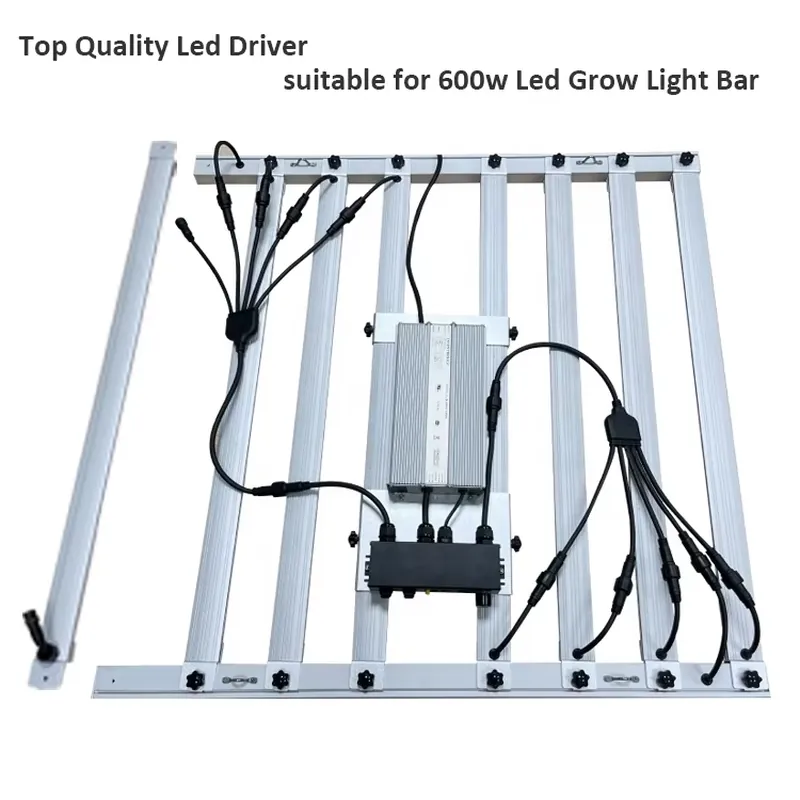 محرك إضاءة نمو النباتات بقوة 6 - مراجعة Led Grow Light وسعره