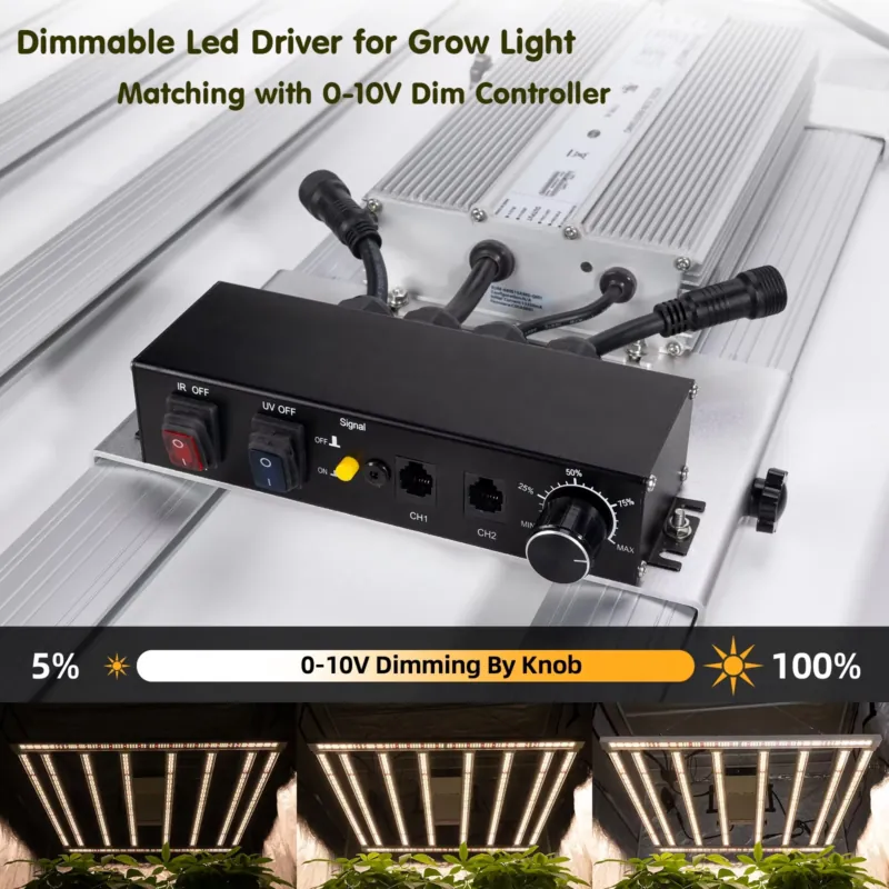 محرك إضاءة نمو النباتات بقوة 6 - مراجعة Led Grow Light وسعره