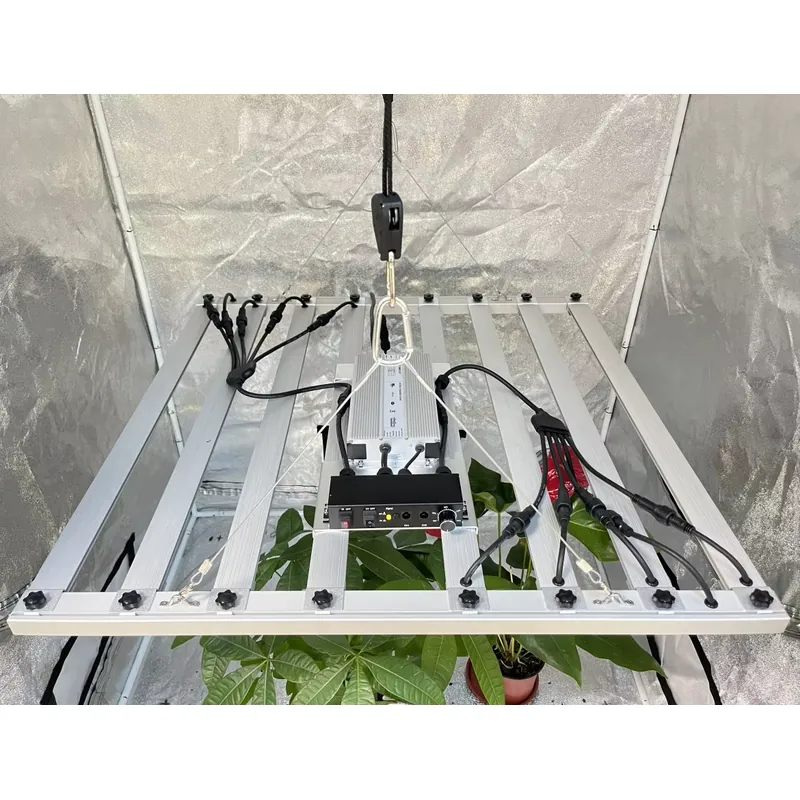 محرك إضاءة نمو النباتات بقوة 6 - مراجعة Led Grow Light وسعره