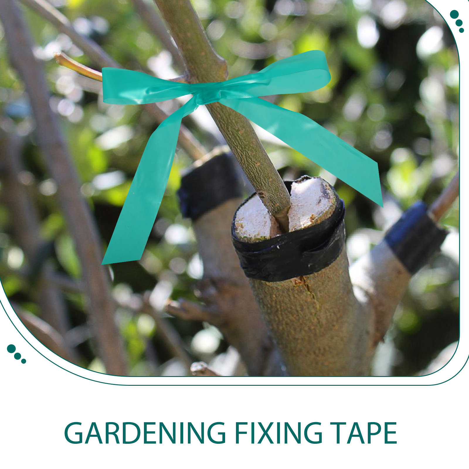 قطعتان من شريط التثبيت القابل  - مراجعة Grafting Tape وسعره