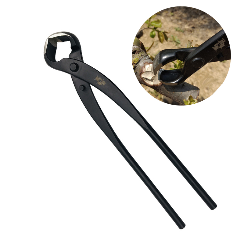 180/210/290 مللي متر بونساي مق - مراجعة Bonsai Tool Set وسعره