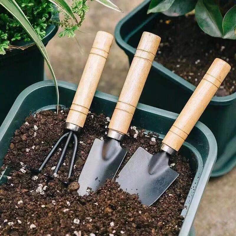 3 قطعة/1 مجموعة أدوات البستنة  - مراجعة Gardening Tools Combo وسعره