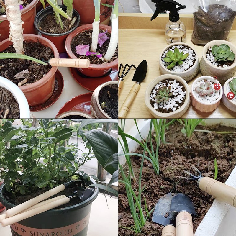 3 قطعة/1 مجموعة أدوات البستنة  - مراجعة Gardening Tools Combo وسعره
