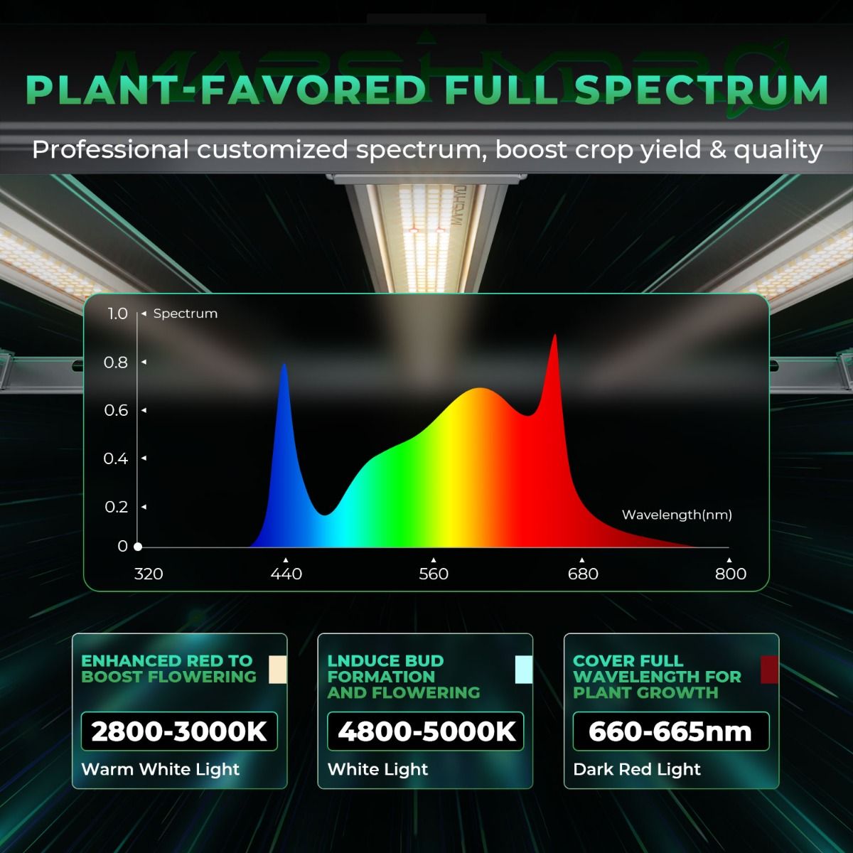 ضوء نمو نباتات LED احترافي عال - مراجعة Led Grow Light وسعره