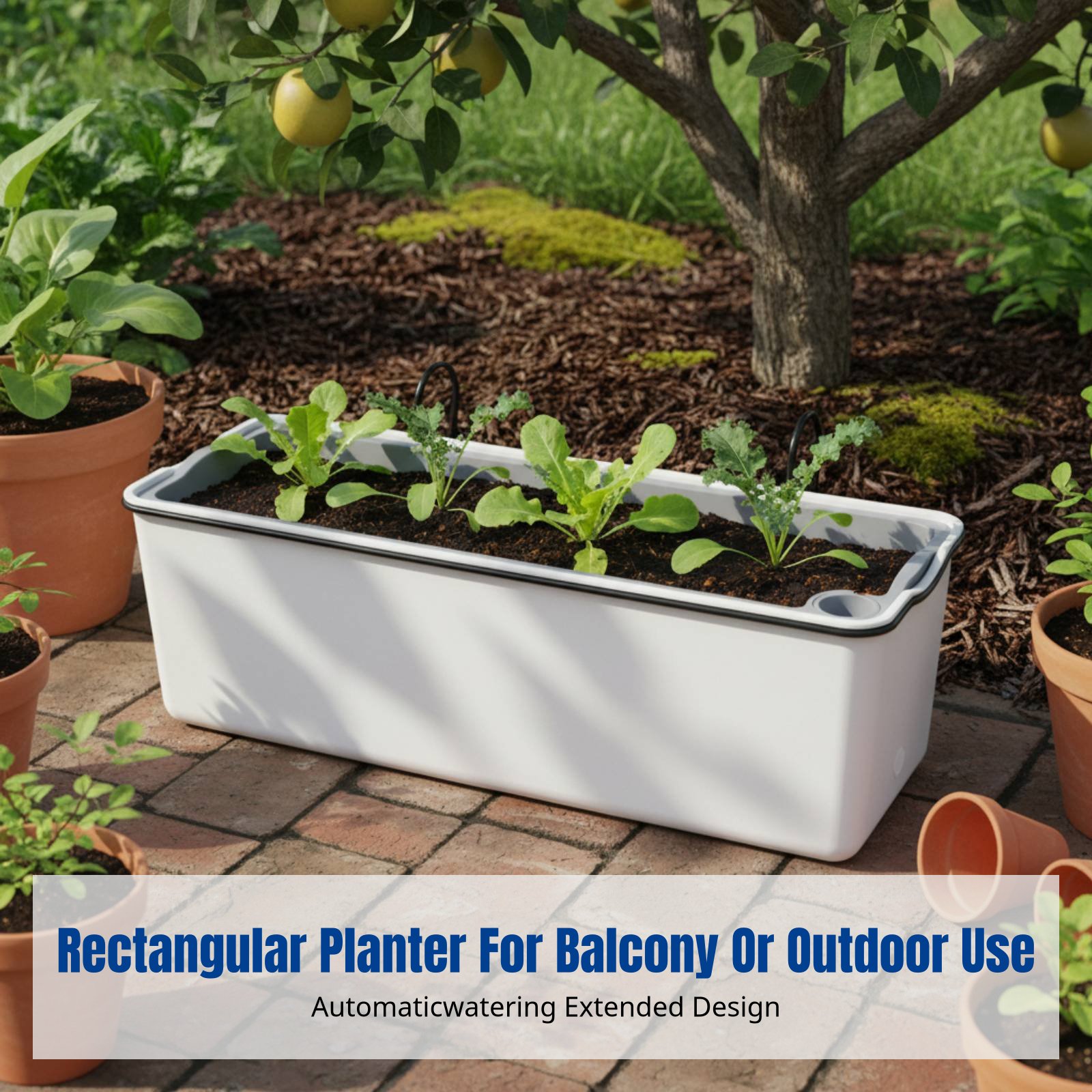 وعاء زهور معلق للشرفة مستطيل ا - مراجعة Self-Watering Planter وسعره