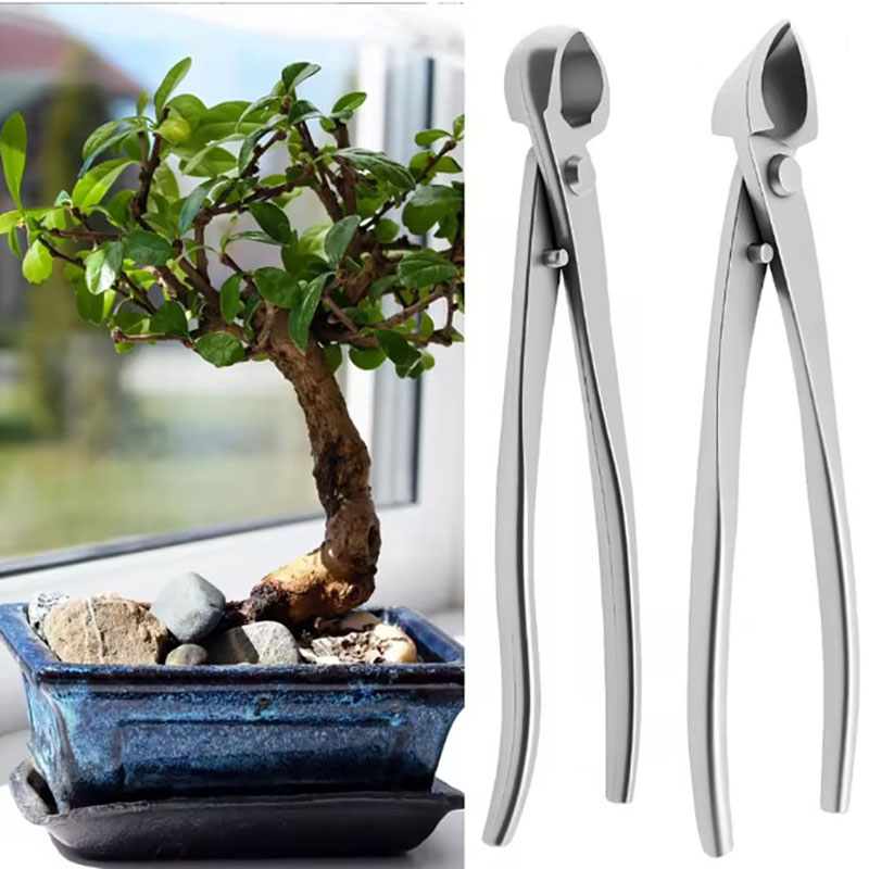 2 قطعة 210 مللي متر الفولاذ ال - مراجعة Bonsai Tool Set وسعره