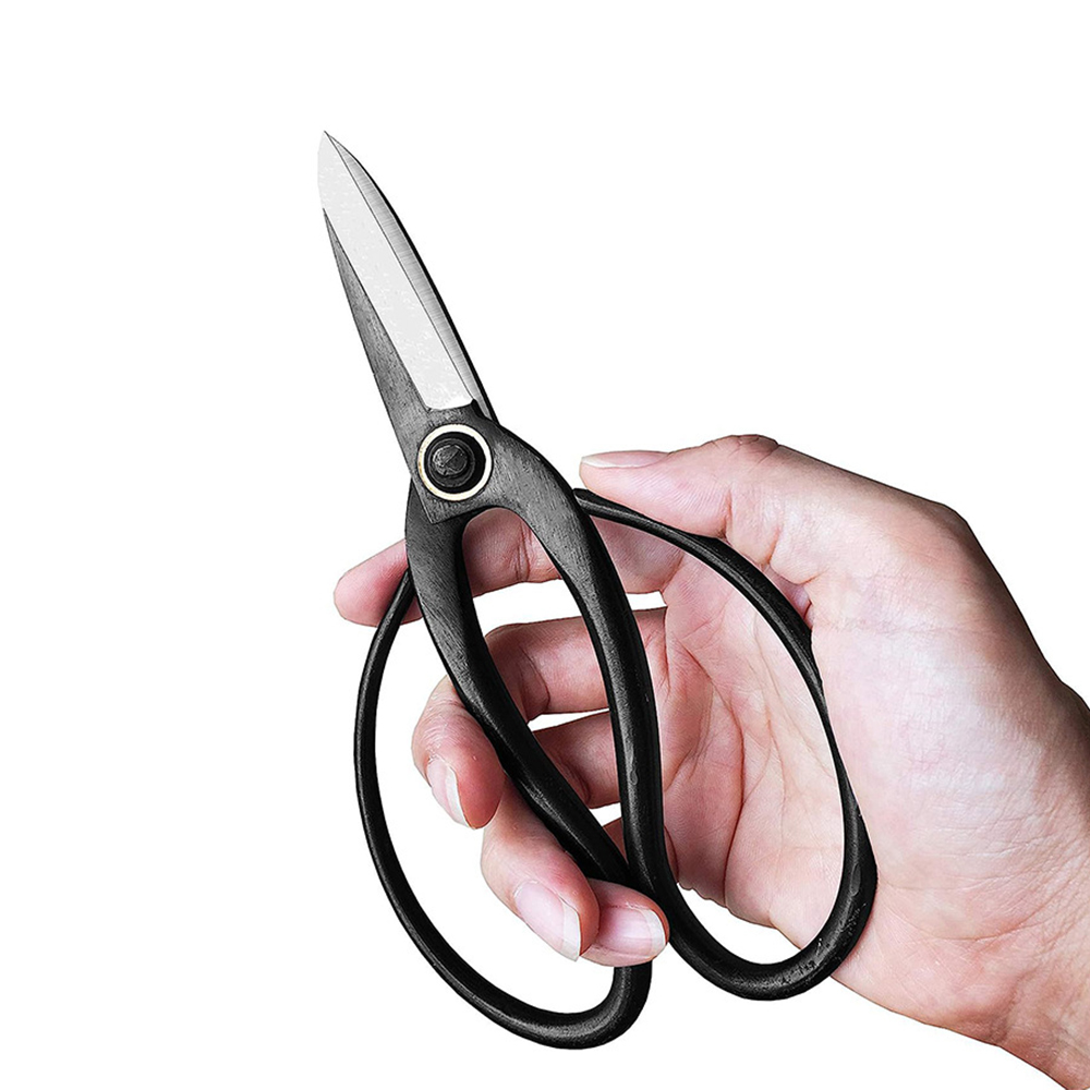 مقص بونساي احترافي على شكل فرا - مراجعة Bonsai Tool Set وسعره