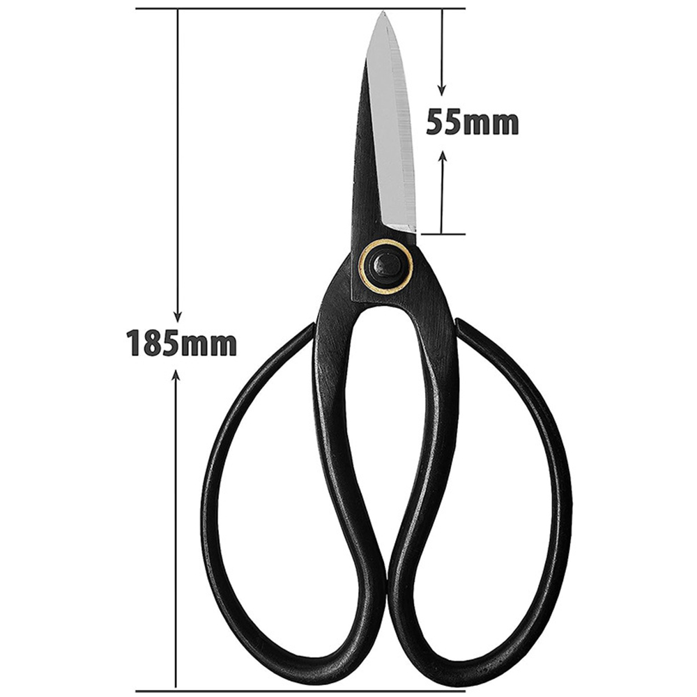 مقص بونساي احترافي على شكل فرا - مراجعة Bonsai Tool Set وسعره
