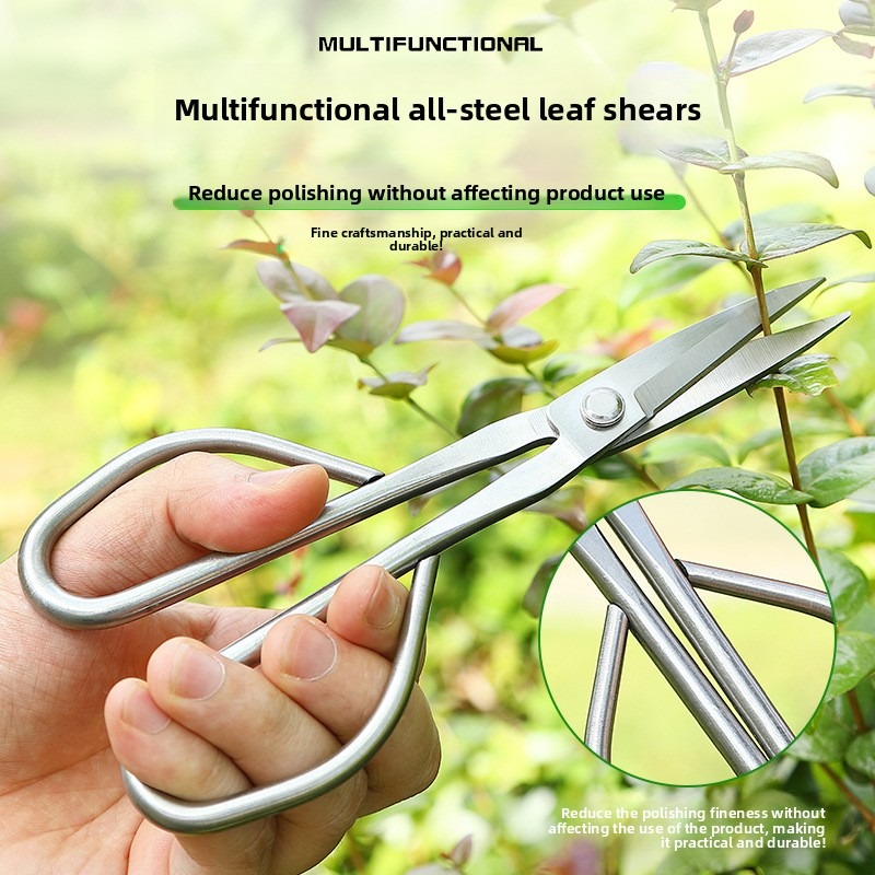 مقص أوراق العطاء أدوات بونساي  - مراجعة Bonsai Tool Set وسعره