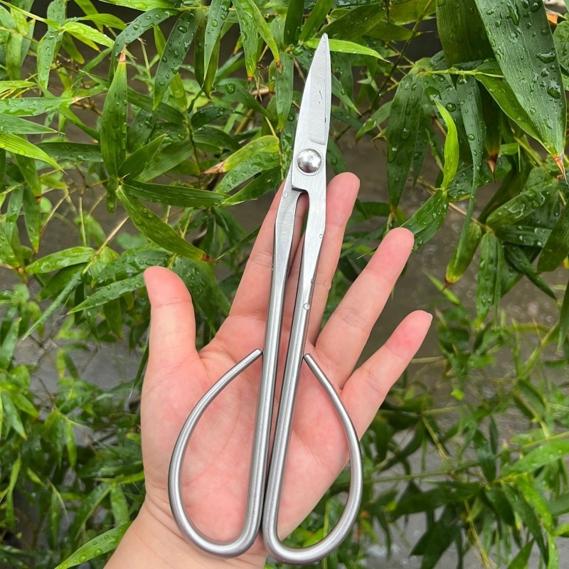 مقص أوراق العطاء أدوات بونساي  - مراجعة Bonsai Tool Set وسعره