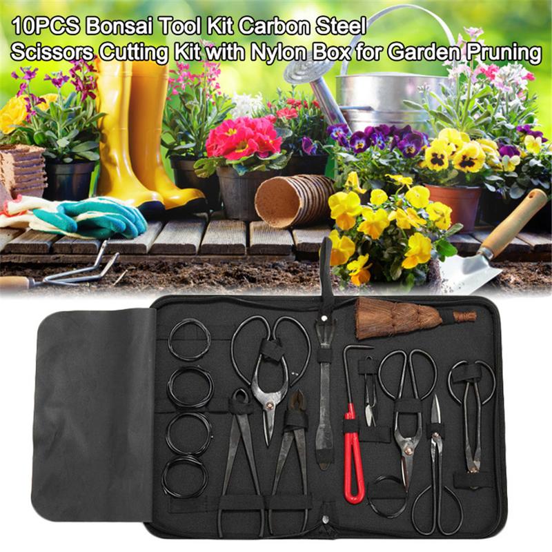 بونساي أداة مجموعة الكربون الص - مراجعة Bonsai Tool Set وسعره