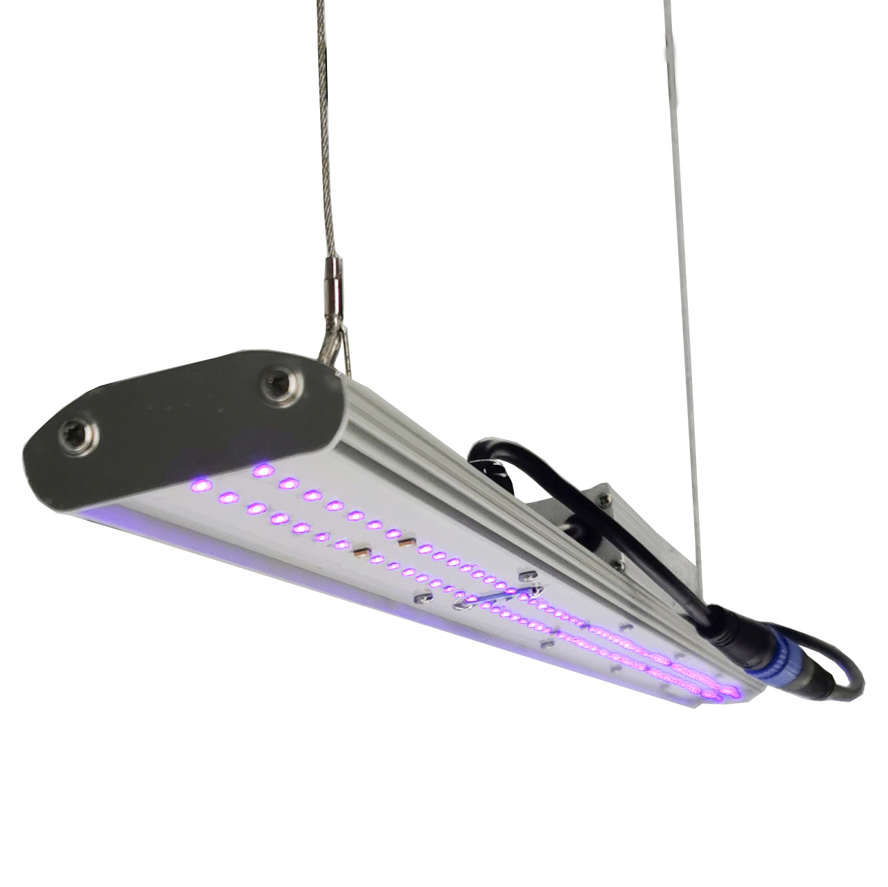 مصباح LED يدوي التعتيم من DANS - مراجعة Led Grow Light وسعره