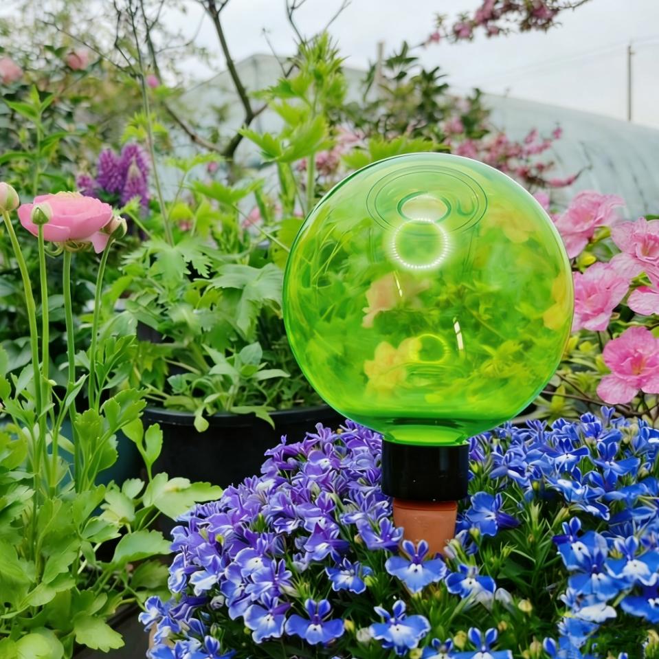 3 قطع من كرات الري الذاتي الكب - مراجعة Self-Watering Planter وسعره