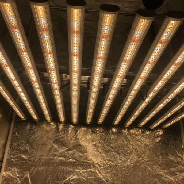 إضاءة نباتية LED من مصنع LUX ا - مراجعة Led Grow Light وسعره