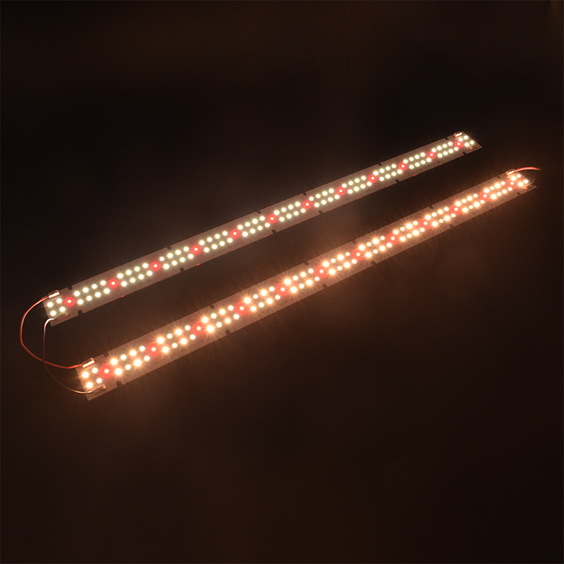 مصباح نمو LED عالي الجودة بتقن - مراجعة Led Grow Light وسعره