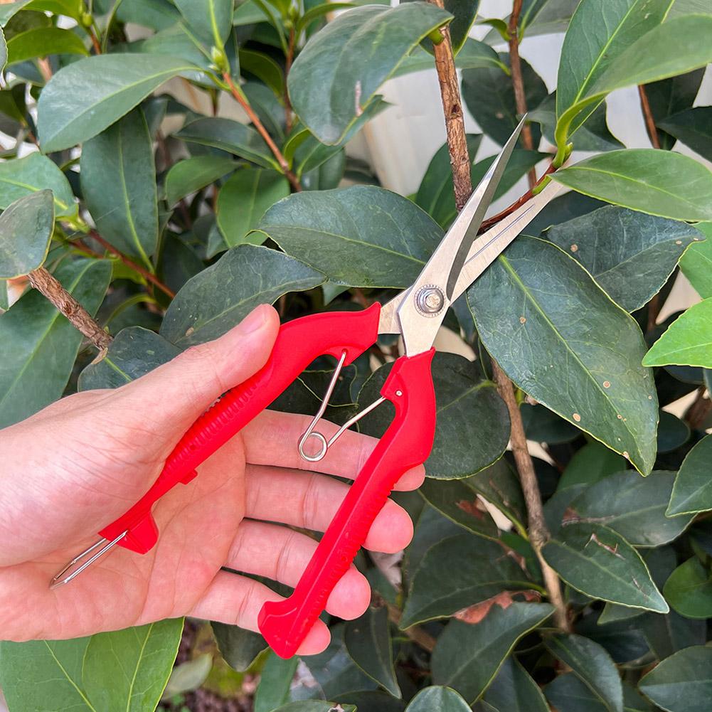 مقص تقليم احترافي للحدائق، مقص - مراجعة Gardening Tools Combo وسعره