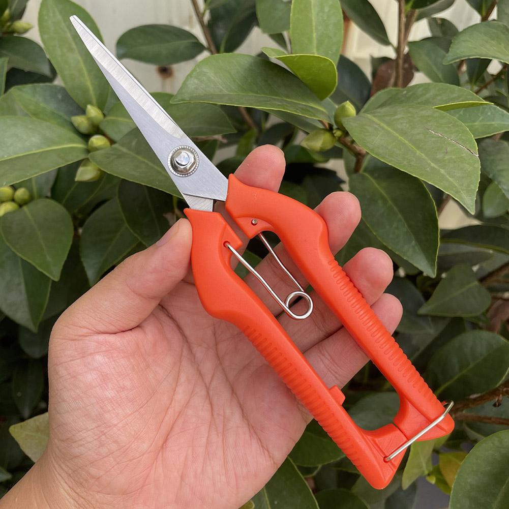مقص تقليم احترافي للحدائق، مقص - مراجعة Gardening Tools Combo وسعره
