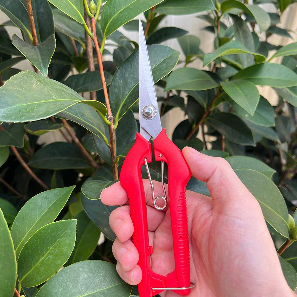 مقص تقليم احترافي للحدائق، مقص - مراجعة Gardening Tools Combo وسعره