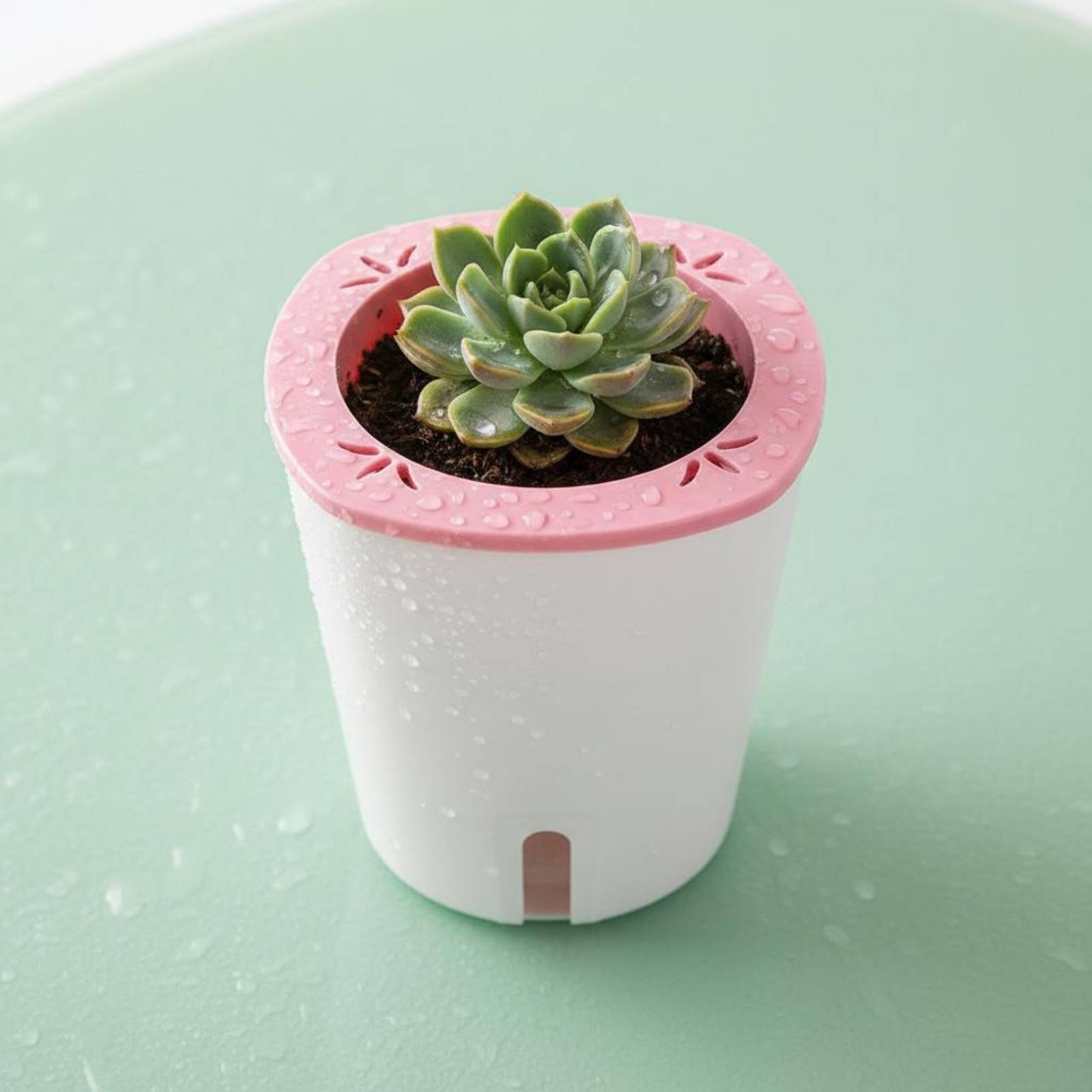 وعاء زراعة ذاتي الري كبير الحج - مراجعة Self-Watering Planter وسعره