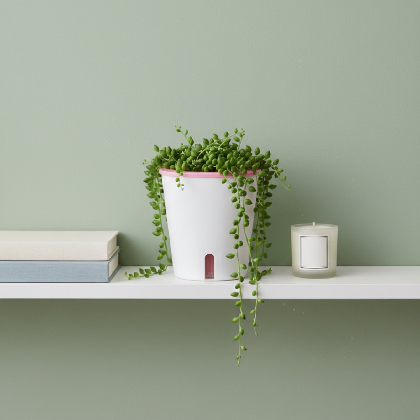 وعاء زراعة ذاتي الري كبير الحج - مراجعة Self-Watering Planter وسعره
