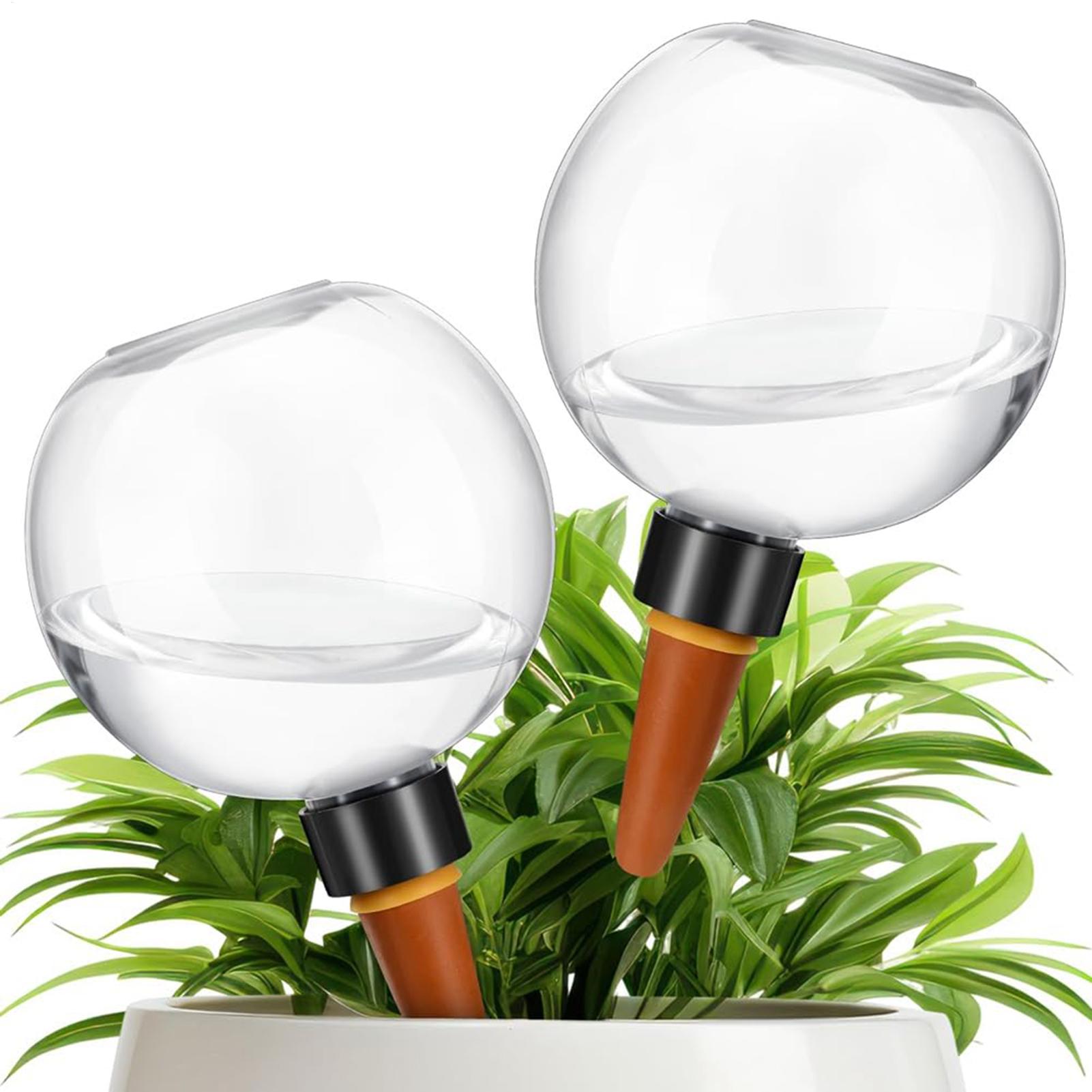 500 مللي لمبات سقي النباتات ال - مراجعة Self-Watering Planter وسعره