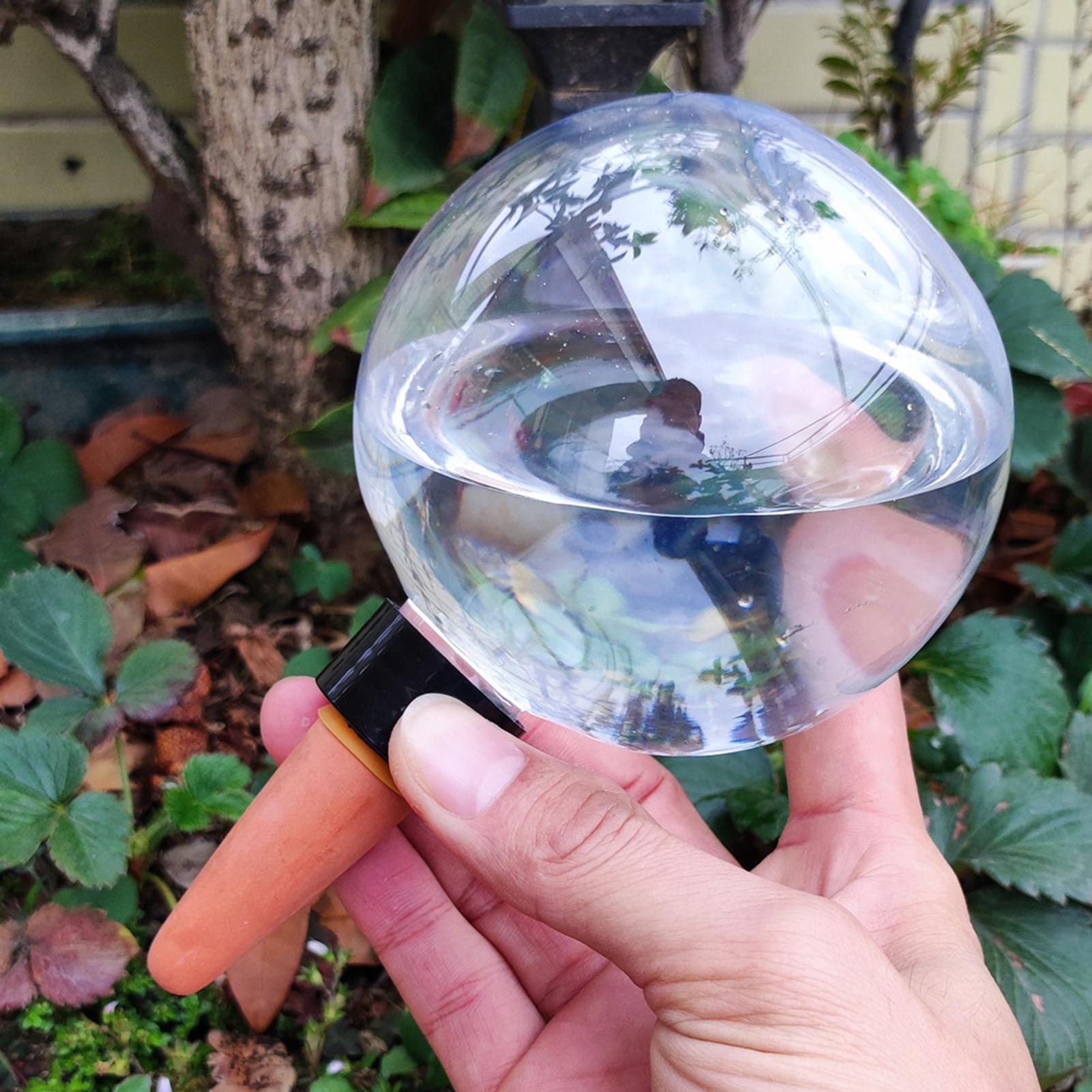 500 مللي لمبات سقي النباتات ال - مراجعة Self-Watering Planter وسعره