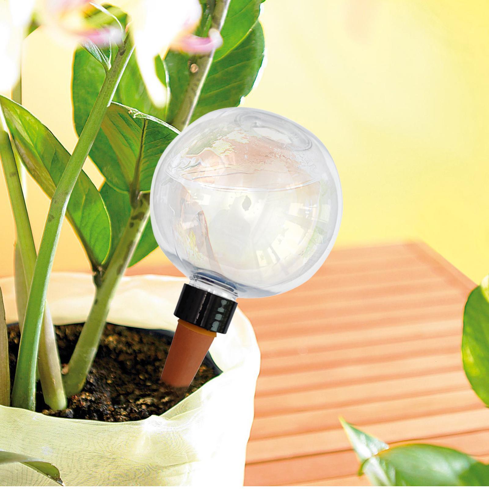 500 مللي لمبات سقي النباتات ال - مراجعة Self-Watering Planter وسعره