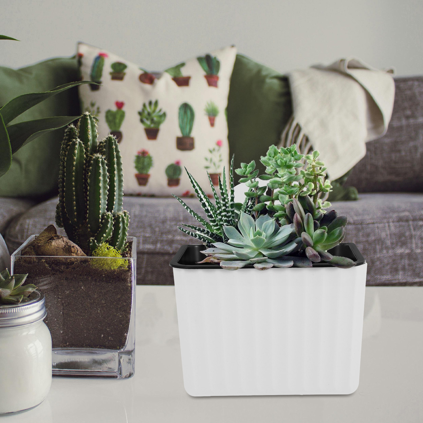 قطعتان من أواني الزهور ذاتية ا - مراجعة Self-Watering Planter وسعره