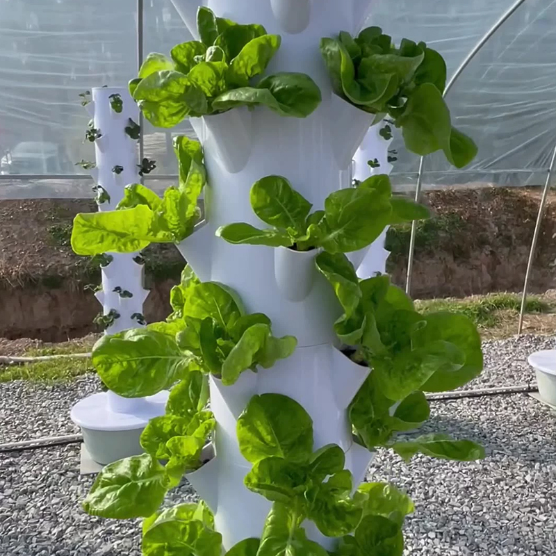 مع Led تنمو ضوء شجرة الفضاء بر - مراجعة Led Grow Light وسعره